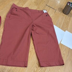 Terra & Sky Coral Wide Leg High Rise pants size 2x